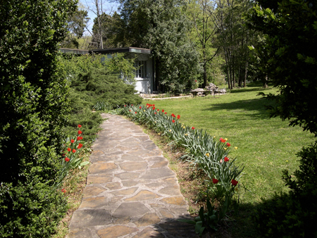 03.Walk_Tulips
