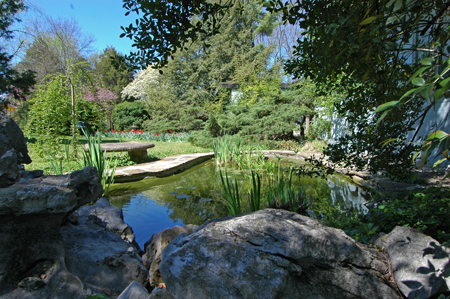 34.PondLookingWest