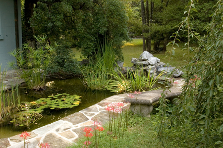 35.PondLookingEast