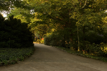 45.DrivewayCurve