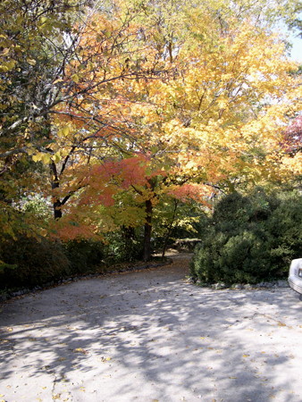 47.DrivewayinFall